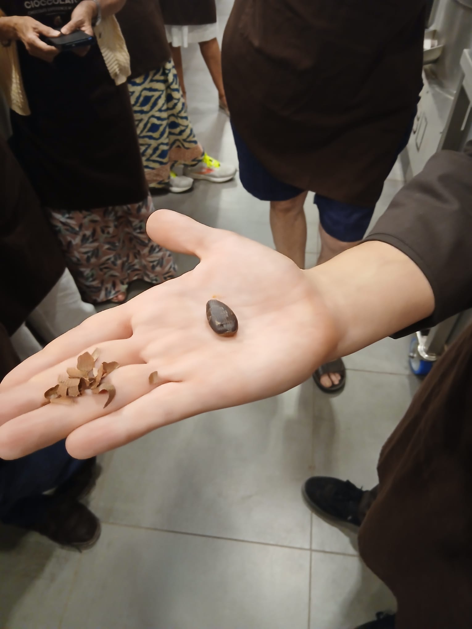 Durante l'esperienza Bean To Bean, ecco come sono i chicchi di cacao prima di essere macinati e diventare poi cioccolato. Credit @MartaCalcagno