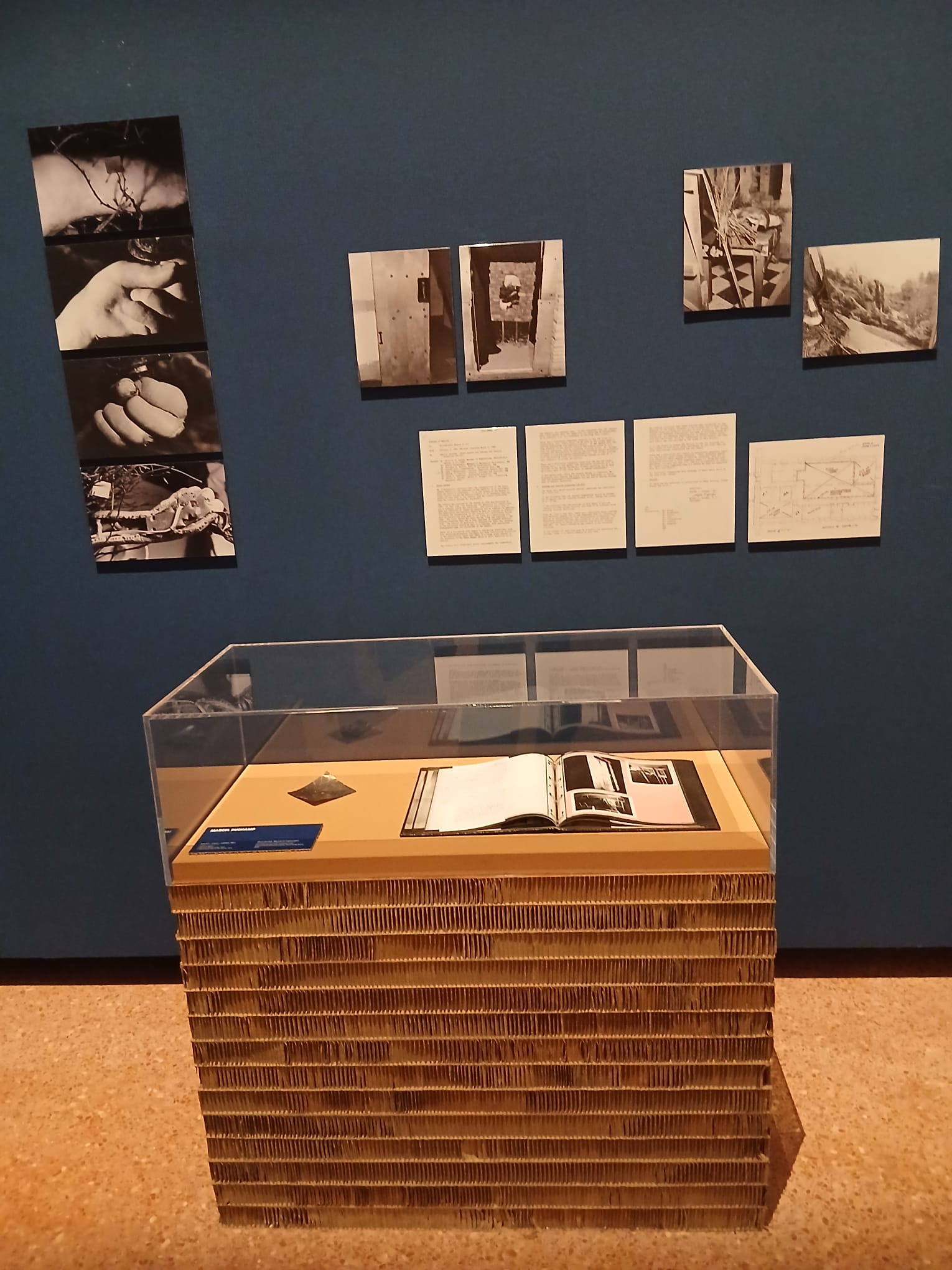 Duchamp, credit @MartaCalcagnoBaldini