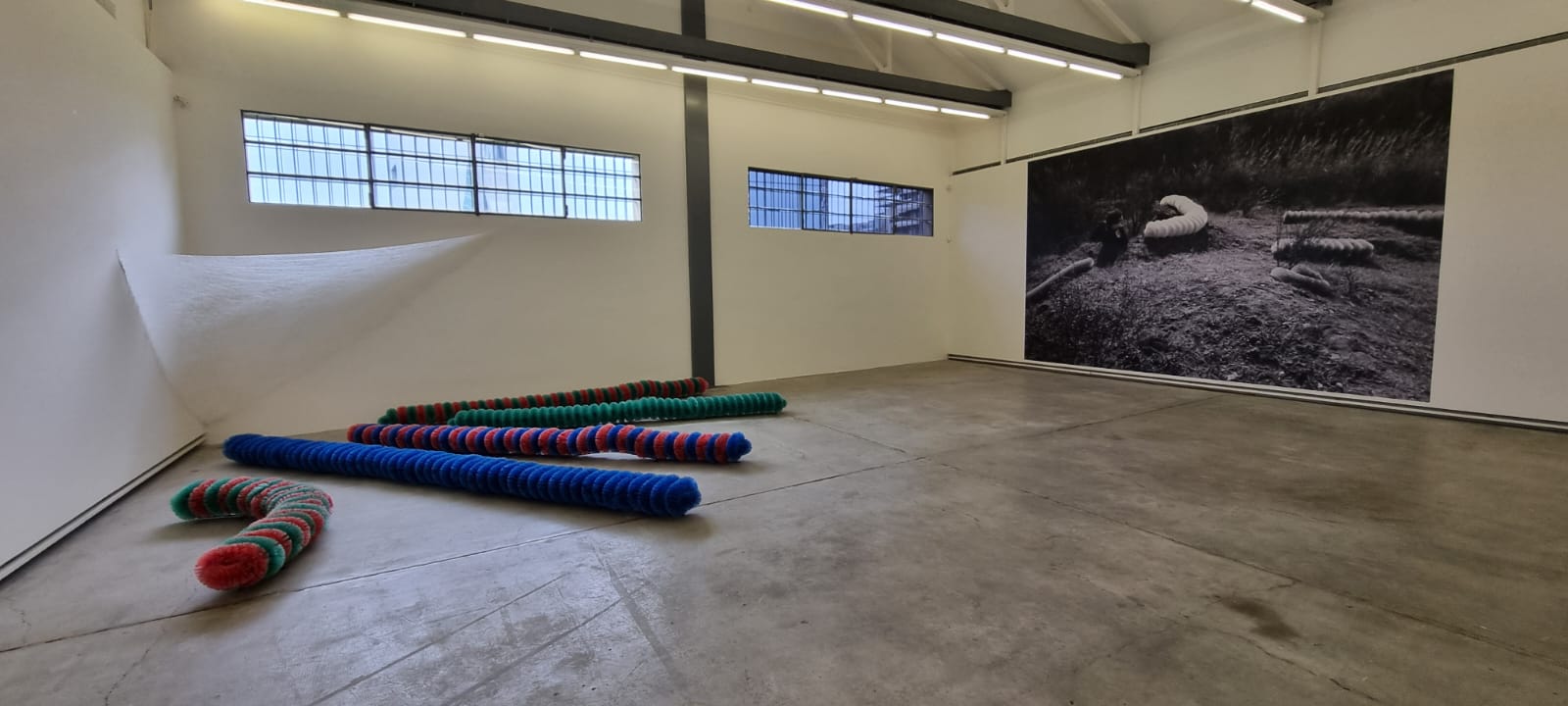 "Pino Pascali" alla Fondazione Prada, Gallria Sud, credit @MartaCalcagno