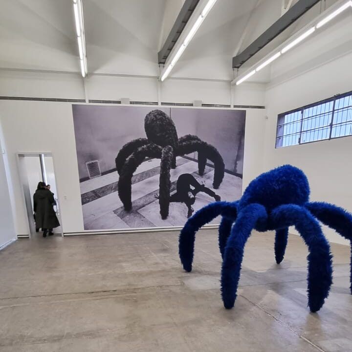 Galleria Sud, si vede "Vedova Blu", legno e pelliccia sintetica, 1968, e foto di Claudio Abate "Pin Pascali con Vedova Blu", photo Claudio Abate, @ArchivioClaudioAbate